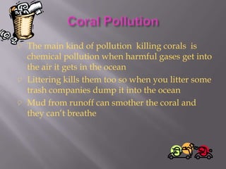  The main kind of pollution killing corals is
  chemical pollution when harmful gases get into
  the air it gets in the ocean
 Littering kills them too so when you litter some
  trash companies dump it into the ocean
 Mud from runoff can smother the coral and
  they can’t breathe
 