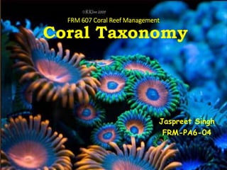 FRM 607 Coral Reef Management
Coral Taxonomy
Jaspreet Singh
FRM-PA6-04
 