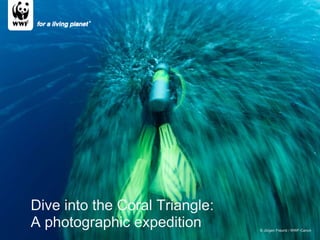 © Jürgen Freund / WWF-Canon Dive into the Coral Triangle: A photographic expedition  