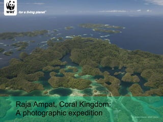 © Jürgen Freund / WWF-Canon Raja Ampat, Coral Kingdom: A photographic expedition  