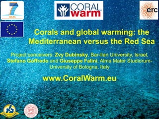 Corals and global warming: the
         Mediterranean versus the Red Sea
 Project conceivers: Zvy Dubinsky, Bar-Ilan University, Israel,
Stefano Goffredo and Giuseppe Falini, Alma Mater Studiorum-
                  University of Bologna, Italy

               www.CoralWarm.eu
 
