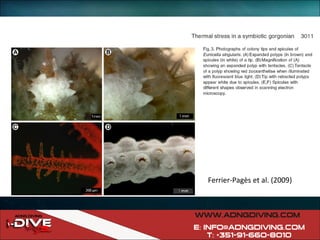 Ferrier-Pagès et al. (2009) 