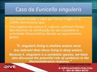 Caso da  Eunicella singularis Um estudo levado a cabo por  Ferrier-Pagès et al. (2009) demonstrou que:  Esta espécie tal como a  C. rubrum , sofreram fortes decréscimos na calcificação do seu esqueleto e actividade fotossintética devido ao aquecimento global. “ E. singularis living in shallow waters were less tolerant than those living in deep waters. Because E. singularis is a symbiotic species, we have also discussed the potential role of symbiosis in the thermotolerance response.” 