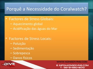 Porquê a Necessidade do Coralwatch? Factores de Stress Globais: Aquecimento global Acidificação das águas do Mar Factores de Stress Locais: Poluição Sedimentação Sobrepesca Danos físicos 