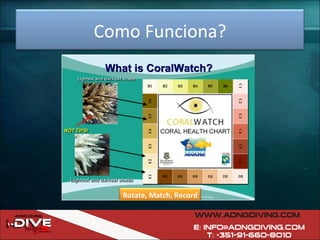 Como Funciona? Rotate, Match, Record 