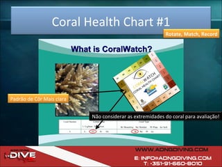 Coral Health Chart #1 Padrão de Côr Mais clara Não considerar as extremidades do coral para avaliação! Rotate, Match, Record 