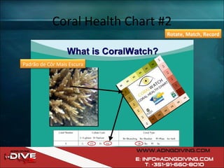 Coral Health Chart #2 Padrão de Côr Mais Escura Rotate, Match, Record 