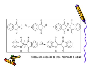 Reação de oxidação do indol formando o índigo
 