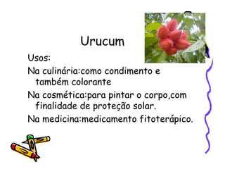 Urucum
Usos:
Na culinária:como condimento e
também colorante
Na cosmética:para pintar o corpo,com
finalidade de proteção solar.
Na medicina:medicamento fitoterápico.
 