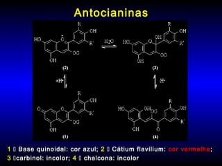 AntocianinasAntocianinas
11  Base quinoidal: cor azul;Base quinoidal: cor azul; 22  Cátium flavilium:Cátium flavilium: cor vermelhacor vermelha ;;
33 carbinol: incolor;carbinol: incolor; 44  chalcona: incolorchalcona: incolor
 