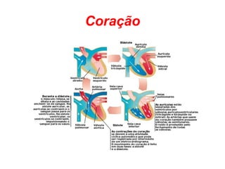 Coração 