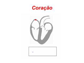 Coração 