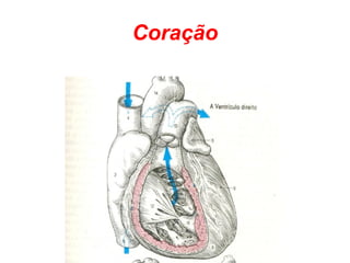 Coração 