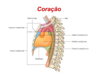 Coração 