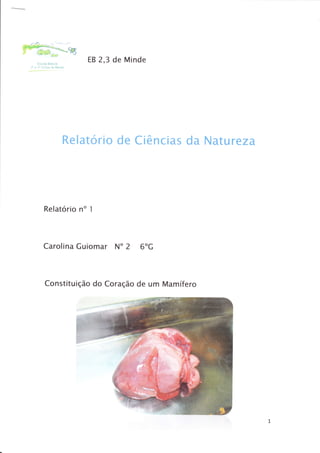 tB 2,3 de Minde




     Relatoriü de Ciências da Nature za




Relatório no I



Carolina Cuiornar No 2 6oC



Constituição do Coração de um Mamífero
 