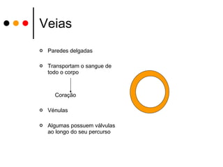 Veias Paredes delgadas Transportam o sangue de todo o corpo Coração Vénulas Algumas possuem válvulas ao longo do seu percurso 