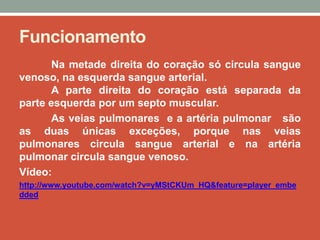 Funcionamento
       Na metade direita do coração só circula sangue
venoso, na esquerda sangue arterial.
       A parte direita do coração está separada da
parte esquerda por um septo muscular.
       As veias pulmonares e a artéria pulmonar são
as duas únicas exceções, porque nas veias
pulmonares circula sangue arterial e na artéria
pulmonar circula sangue venoso.
Vídeo:
http://www.youtube.com/watch?v=yMStCKUm_HQ&feature=player_embe
dded
 