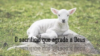 O sacrifício que agrada a Deus
 
