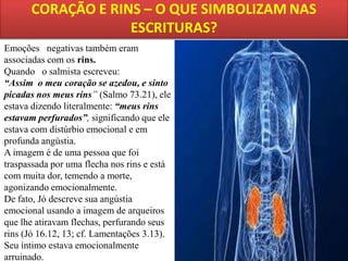 Emoções  negativas também eram
associadas com os rins.
Quando  o salmista escreveu:
“Assim o meu coração se azedou, e sinto
picadas nos meus rins” (Salmo 73.21), ele
estava dizendo literalmente: “meus rins
estavam perfurados”, significando que ele
estava com distúrbio emocional e em
profunda angústia.
A imagem é de uma pessoa que foi
traspassada por uma flecha nos rins e está
com muita dor, temendo a morte,
agonizando emocionalmente.
De fato, Jó descreve sua angústia
emocional usando a imagem de arqueiros
que lhe atiravam flechas, perfurando seus
rins (Jó 16.12, 13; cf. Lamentações 3.13).
Seu íntimo estava emocionalmente
arruinado.

 