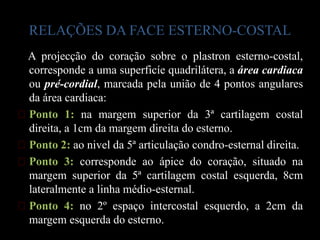 RELAÇÕES DA FACE ESTERNO-COSTAL
 A projecção do coração sobre o plastron esterno-costal,
 corresponde a uma superficíe quadrilátera, a área cardiaca
 ou pré-cordial, marcada pela união de 4 pontos angulares
 da área cardiaca:
ᴥPonto 1: na margem superior da 3ª cartilagem costal
 direita, a 1cm da margem direita do esterno.
ᴥPonto 2: ao nivel da 5ª articulação condro-esternal direita.
ᴥPonto 3: corresponde ao ápice do coração, situado na
 margem superior da 5ª cartilagem costal esquerda, 8cm
 lateralmente a linha médio-esternal.
ᴥPonto 4: no 2º espaço intercostal esquerdo, a 2cm da
 margem esquerda do esterno.
 