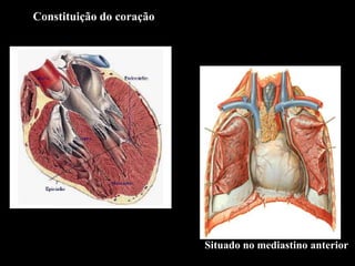 Constituição do coração




                          Situado no mediastino anterior
 