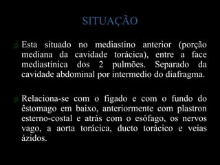 SITUAÇÃO

ø Esta situado no mediastino anterior (porção
  mediana da cavidade torácica), entre a face
  mediastinica dos 2 pulmões. Separado da
  cavidade abdominal por intermedio do diafragma.

ø Relaciona-se com o figado e com o fundo do
  êstomago em baixo, anteriormente com plastron
  esterno-costal e atrás com o esófago, os nervos
  vago, a aorta torácica, ducto torácico e veias
  ázidos.
 