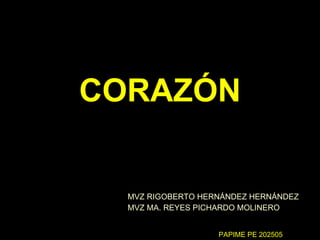 CORAZÓN MVZ RIGOBERTO HERNÁNDEZ HERNÁNDEZ MVZ MA. REYES PICHARDO MOLINERO PAPIME PE 202505 