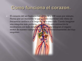    El corazón del ser humano late entre 50 y 100 veces por minuto.
    Piensa por un momento lo que supone mantener este ritmo de
    frecuencia cardiaca a lo largo de toda una vida. Cuesta imaginar
    una máquina más perfecta, ¿verdad? En esta animación te
    mostramos con todo detalle las partes que integran el órgano
    motor de nuestro cuerpo y las claves del funcionamiento del flujo
    sanguíneo.
 
