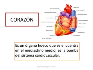 CORAZÓN



 Es un órgano hueco que se encuentra
 en el mediastino medio, es la bomba
 del sistema cardiovascular.

             Cinthia Gpe. Fregoso Navarro
 