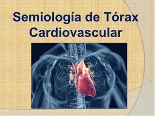Semiología de Tórax
  Cardiovascular
 