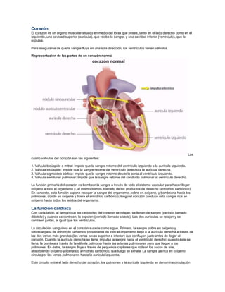 Corazón
El corazón es un órgano muscular situado en medio del tórax que posee, tanto en el lado derecho como en el
izquierdo, una cavidad superior (aurícula), que recibe la sangre, y una cavidad inferior (ventrículo), que la
expulsa.

Para asegurarse de que la sangre fluya en una sola dirección, los ventrículos tienen válvulas.

Representación de las partes de un corazón normal




                                                                                                                Las
cuatro válvulas del corazón son las siguientes:

1. Válvula bicúspide o mitral: Impide que la sangre retorne del ventrículo izquierdo a la aurícula izquierda.
2. Válvula tricúspide: Impide que la sangre retorne del ventrículo derecho a la aurícula derecha.
3. Válvula sigmoidea aórtica: Impide que la sangre retorne desde la aorta al ventrículo izquierdo.
4. Válvula semilunar pulmonar: Impide que la sangre retorne del conducto pulmonar al ventrículo derecho.

La función primaria del corazón es bombear la sangre a través de todo el sistema vascular para hacer llegar
oxígeno a todo el organismo y, al mismo tiempo, liberarlo de los productos de desecho (anhídrido carbónico).
En concreto, esta función supone recoger la sangre del organismo, pobre en oxígeno, y bombearla hacia los
pulmones, donde se oxigena y libera el anhídrido carbónico; luego el corazón conduce esta sangre rica en
oxígeno hacia todos los tejidos del organismo.

La función cardiaca
Con cada latido, al tiempo que las cavidades del corazón se relajan, se llenan de sangre (período llamado
diástole) y cuando se contraen, la expelen (período llamado sístole). Las dos aurículas se relajan y se
contraen juntas, al igual que los ventrículos.

La circulación sanguínea en el corazón sucede como sigue. Primero, la sangre pobre en oxígeno y
sobrecargada de anhídrido carbónico proveniente de todo el organismo llega a la aurícula derecha a través de
las dos venas más grandes (las venas cavas superior e inferior) que confluyen justo antes de llegar al
corazón. Cuando la aurícula derecha se llena, impulsa la sangre hacia el ventrículo derecho; cuando éste se
llena, la bombea a través de la válvula pulmonar hacia las arterias pulmonares para que llegue a los
pulmones. En éstos, la sangre fluye a través de pequeños capilares que rodean los sacos de aire,
absorbiendo oxígeno y liberando anhídrido carbónico, que luego se exhala. La sangre ya rica en oxígeno
circula por las venas pulmonares hasta la aurícula izquierda.

Este circuito entre el lado derecho del corazón, los pulmones y la aurícula izquierda se denomina circulación
 