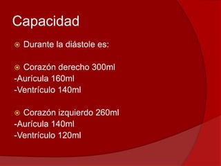 Capacidad
 Durante la diástole es:
 Corazón derecho 300ml
-Aurícula 160ml
-Ventrículo 140ml
 Corazón izquierdo 260ml
-Aurícula 140ml
-Ventrículo 120ml
 
