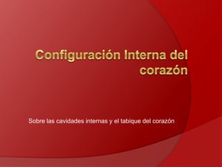 Sobre las cavidades internas y el tabique del corazón
 