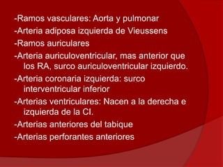 -Ramos vasculares: Aorta y pulmonar
-Arteria adiposa izquierda de Vieussens
-Ramos auriculares
-Arteria auriculoventricular, mas anterior que
los RA, surco auriculoventricular izquierdo.
-Arteria coronaria izquierda: surco
interventricular inferior
-Arterias ventriculares: Nacen a la derecha e
izquierda de la CI.
-Arterias anteriores del tabique
-Arterias perforantes anteriores
 