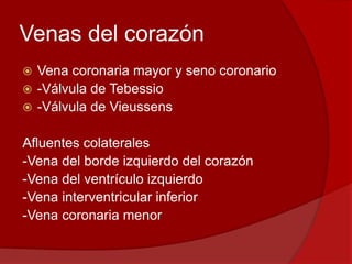 Venas del corazón
 Vena coronaria mayor y seno coronario
 -Válvula de Tebessio
 -Válvula de Vieussens
Afluentes colaterales
-Vena del borde izquierdo del corazón
-Vena del ventrículo izquierdo
-Vena interventricular inferior
-Vena coronaria menor
 