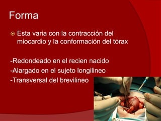 Forma
 Esta varia con la contracción del
miocardio y la conformación del tórax
-Redondeado en el recien nacido
-Alargado en el sujeto longilineo
-Transversal del brevilineo
 
