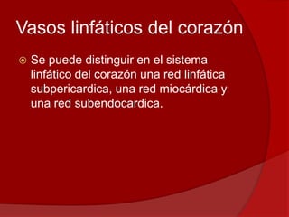 Vasos linfáticos del corazón
 Se puede distinguir en el sistema
linfático del corazón una red linfática
subpericardica, una red miocárdica y
una red subendocardica.
 