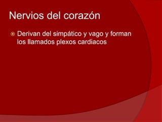 Nervios del corazón
 Derivan del simpático y vago y forman
los llamados plexos cardiacos
 