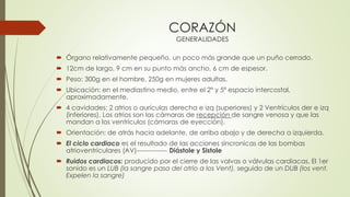 CORAZÓN
GENERALIDADES
 Órgano relativamente pequeño, un poco más grande que un puño cerrado.
 12cm de largo, 9 cm en su punto más ancho, 6 cm de espesor.
 Peso: 300g en el hombre, 250g en mujeres adultas.
 Ubicación: en el mediastino medio, entre el 2º y 5º espacio intercostal,
aproximadamente.
 4 cavidades: 2 atrios o aurículas derecha e izq (superiores) y 2 Ventrículos der e izq
(inferiores). Los atrios son las cámaras de recepción de sangre venosa y que las
mandan a los ventrículos (cámaras de eyección).
 Orientación: de atrás hacia adelante, de arriba abajo y de derecha a izquierda.
 El ciclo cardiaco es el resultado de las acciones sincronicas de las bombas
atrioventriculares (AV)-------------- Diástole y Sistole
 Ruidos cardiacos: producido por el cierre de las valvas o válvulas cardiacas. El 1er
sonido es un LUB (la sangre pasa del atrio a los Vent), seguido de un DUB (los vent.
Expelen la sangre)
 