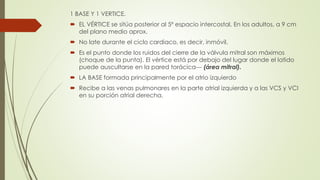 1 BASE Y 1 VERTICE.
 EL VÉRTICE se sitúa posterior al 5º espacio intercostal. En los adultos, a 9 cm
del plano medio aprox.
 No late durante el ciclo cardiaco, es decir, inmóvil.
 Es el punto donde los ruidos del cierre de la válvula mitral son máximos
(choque de la punta). El vértice está por debajo del lugar donde el latido
puede auscultarse en la pared torácica--- (área mitral).
 LA BASE formada principalmente por el atrio izquierdo
 Recibe a las venas pulmonares en la parte atrial izquierda y a las VCS y VCI
en su porción atrial derecha.
 
