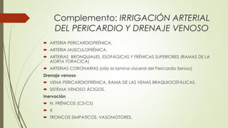 Complemento: IRRIGACIÓN ARTERIAL
DEL PERICARDIO Y DRENAJE VENOSO
 ARTERIA PERICARDIOFRÉNICA.
 ARTERIA MUSCULOFRÉNICA.
 ARTERIAS BRONQUIALES, ESOFÁGICAS Y FRÉNICAS SUPERIORES (RAMAS DE LA
AORTA TORACICA)
 ARTERIAS CORONARIAS (sólo la lamina visceral del Pericardio Seroso)
Drenaje venoso
 VENA PERICARDIOFRÉNICA, RAMA DE LAS VENAS BRAQUIOCEFÁLICAS.
 SISTEMA VENOSO ÁCIGOS.
Inervación
 N. FRÉNICOS (C3-C5)
 X
 TRONCOS SIMPATICOS, VASOMOTORES.
 