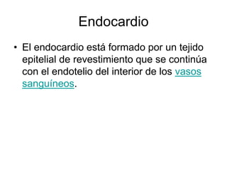 Endocardio
• El endocardio está formado por un tejido
epitelial de revestimiento que se continúa
con el endotelio del interior de los vasos
sanguíneos.
 