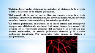 *Existen dos grandes sistemas de arterias: el sistema de la arteria
aorta y elsistema de la arteria pulmonar.
*Del cayado de la aorta, nacen diversas ramas, como la arteria
carótida, lasarterias bronquiales, las arterias lumbares, las arterias
renales, lasarterias coronarias y las arterias genitales.
*La arteria pulmonar, en cambio, es la única arteria que transporta
sangre con dióxido de carbono (tal como hacen las venas). Se
origina en el ventrículo derecho del corazón y se divide en dos
ramas terminales, la arteria pulmonar derecha y la arteria
pulmonar izquierda. Por supuesto, estas ramas se dirigen a
los pulmones.
 