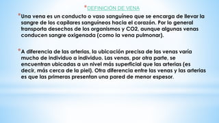 *DEFINICIÓN DE VENA
*Una vena es un conducto o vaso sanguíneo que se encarga de llevar la
sangre de los capilares sanguíneos hacia el corazón. Por lo general
transporta desechos de los organismos y CO2, aunque algunas venas
conducen sangre oxigenada (como la vena pulmonar).
*A diferencia de las arterias, la ubicación precisa de las venas varía
mucho de individuo a individuo. Las venas, por otra parte, se
encuentran ubicadas a un nivel más superficial que las arterias (es
decir, más cerca de la piel). Otra diferencia entre las venas y las arterias
es que las primeras presentan una pared de menor espesor.
 