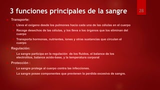 3 funciones principales de la sangre
 Transporte:
 Lleva el oxígeno desde los pulmones hacia cada una de las células en el cuerpo
 Recoge desechos de las células, y los lleva a los órganos que los eliminan del
cuerpo
 Transporta hormonas, nutrientes, iones y otras sustancias que circulan el
cuerpo
 Regulación:
 La sangre participa en la regulación de los fluidos, el balance de los
electrolitos, balance acido-base, y la temperatura corporal
 Protección :
 La sangre protege al cuerpo contra las infecciones.
 La sangre posee componentes que previenen la perdida excesiva de sangre.
28
 