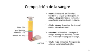 Composición de la sangre
• Plasma: Parte clara, amarillenta y
líquida de la sangre que transporta los
glóbulos. Las proteínas que forman los
coágulos de sangre están en el plasma.
• Células blancas: leucocitos. Protegen al
cuerpo contra infecciones.
• Plaquetas: trombocitos. Protegen al
cuerpo de sangrado excesivo, a través
de la formación de coágulos de sangre.
• Células rojas: eritrocitos. Transporte de
oxígeno hacia todos los tejidos.
34
 