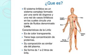 ¿Que es?
 El sistema linfático es un
sistema complejo formado
por una serie de órganos y
una red de vasos linfáticos
en los cuales circula una
serie de fluidos denominado
Linfa.
Características de la Linfa:
 Es de color transparente.
 Tiene baja concentración de
proteínas.
 Su composición es similar
ala del plasma.
 Se forma de 1 a 2 litros de
linfa.
 