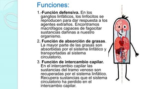 Funciones:
1.-Función defensiva. En los
ganglios linfáticos, los linfocitos se
reproducen para dar respuesta a los
agentes extraños. Encontramos
macrófagos capaces de fagocitar
sustancias dañinas a nuestro
organismo.
2. Función de absorción de grasas.
La mayor parte de las grasas son
absorbidas por el sistema linfático y
transportadas al sistema
circulatorio.
3. Función de intercambio capilar.
En el intercambio capilar las
sustancias del tramo venoso son
recuperadas por el sistema linfático.
Recupera sustancias que el sistema
circulatorio ha perdido en el
intercambio capilar.
 