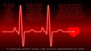 Se comunica:
Por impulsos
nerviosos,
puede
inhibir o
activar
diversas
partes del
cerebro,
influye en
nuestra
percepci n yó
reacciones.
Brinda informaci nó
bioqu mica medianteí
hormonas y neuro-
transmisores produce
la hormona ANF
(factor atrial
natriur tico;é
homeostasis), libera
oxitocina (hormona
del amor) secreta su
propia reserva de
adrenalina.
Se comunica biof sicamenteí
mediante ondas de presi n yó
energ ticamente mediante elé
campo electromagn tico yaé
mencionado, que, seg n laú
Universidad de Oxford rodea al
cuerpo hasta los 5 metros,
generando ondas de radio y de
luz. En cada pulsaci n, produceó
2,5 vatios de energ a el ctrica.í é
El coraz n puede aprender, recordar y tomar decisiones independientemente del cerebro.ó
 