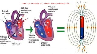 C mo se produce el campo electromagn tico.ó é
 